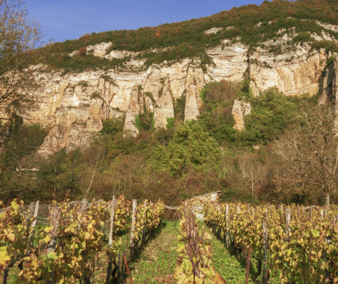 From A Wine Lover’s Bucket List: Eve Bushman spends a week touring and tasting in Chateauneuf du Pape