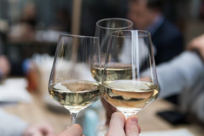 Worth the train ride: New York Wine Studio starts classes this October in NYC, with Wine Expert Alan Tardi